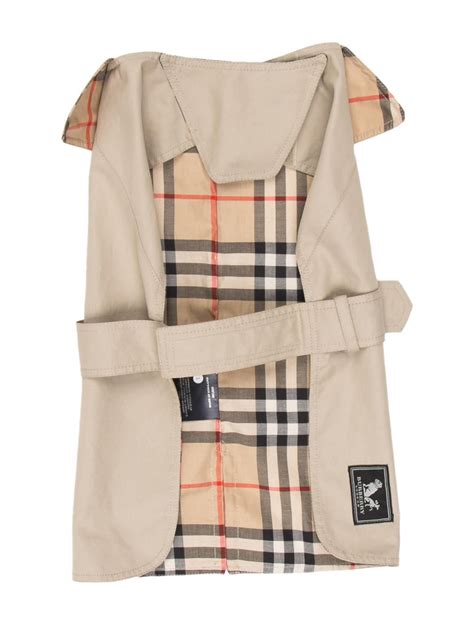 burberry dog|Burberry raincoat for dogs.